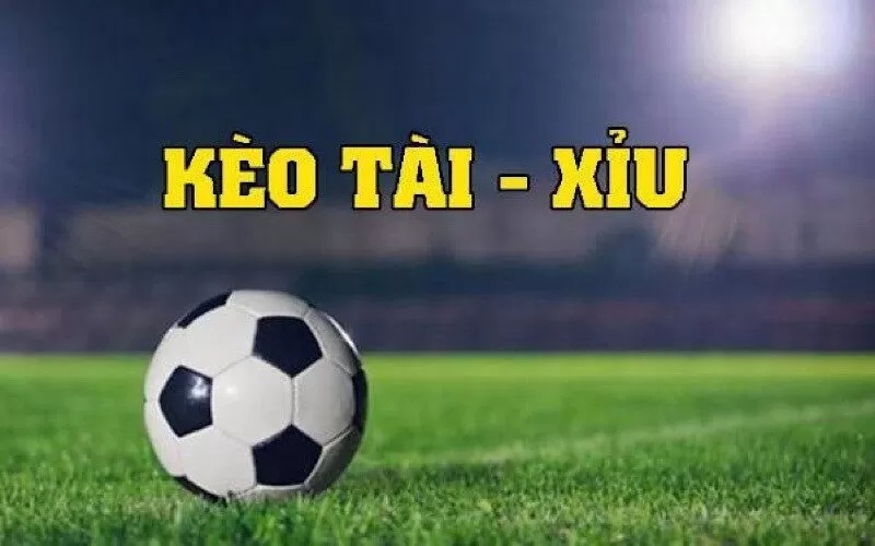 Kèo Over Under là gì? Các loại kèo phổ biến và tips chốt cược - hình ảnh - ozobeisza.top