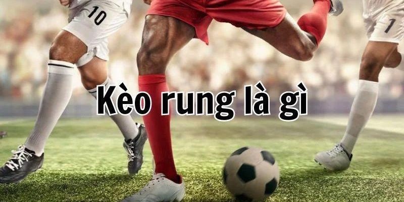 Kèo Running đánh rung – Chia sẻ cách đặt cược cho người mới - hình ảnh - ozobeisza.top Kèo Running đánh rung – Chia sẻ cách đặt cược cho người mới - hình ảnh - ozobeisza.top